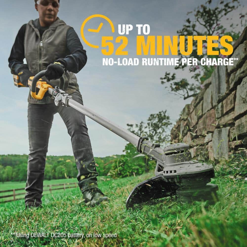 DeWalt DCST922P1 5AH DW 20V GEN. 2 BRUSHLESS ST KIT