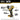 DeWalt DCF845B 20V MAX XR IMPACT DRIVER BARE